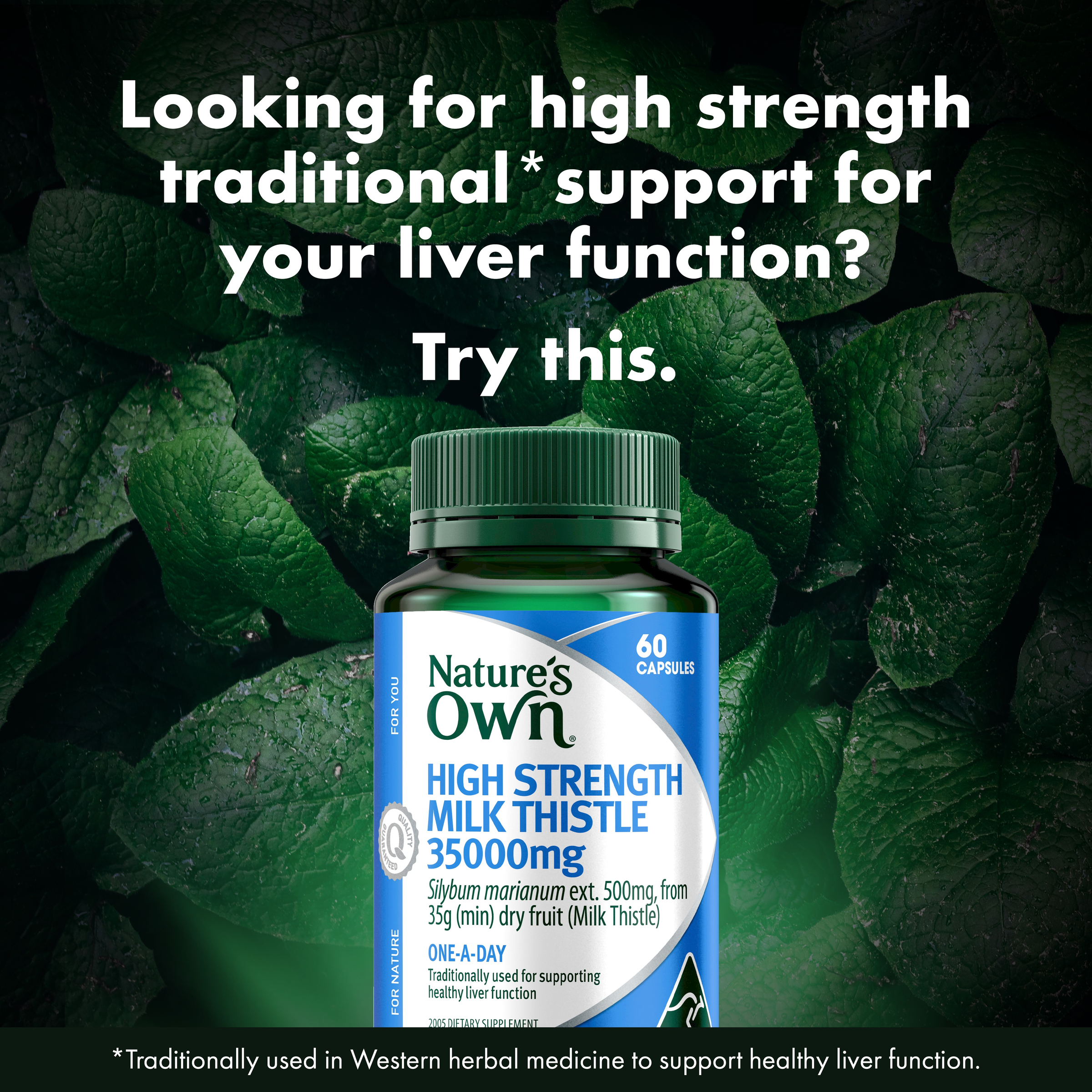 NATURES OWN HIGH STRENGTH MILK THISTLE 35000MG 60 CAPSULES - Image 3
